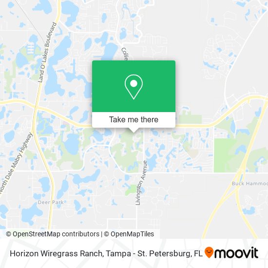 Horizon Wiregrass Ranch map