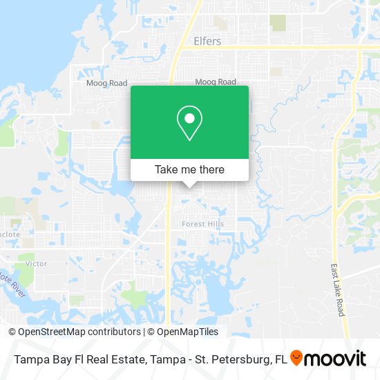 Tampa Bay Fl Real Estate map