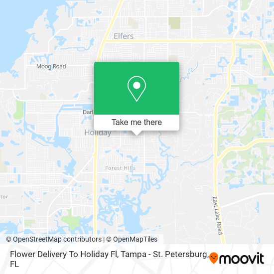 Flower Delivery To Holiday Fl map