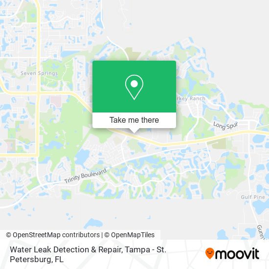 Mapa de Water Leak Detection & Repair