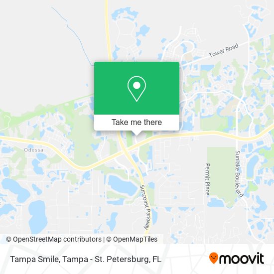Tampa Smile map