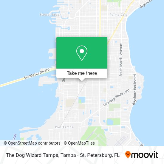 The Dog Wizard Tampa map