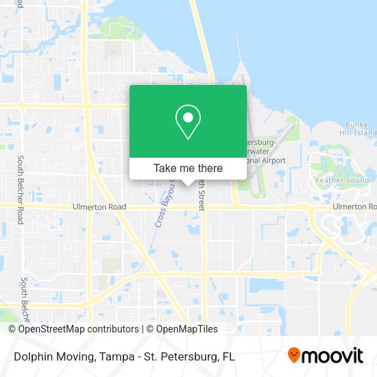 Dolphin Moving map