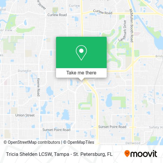 Mapa de Tricia Shelden LCSW