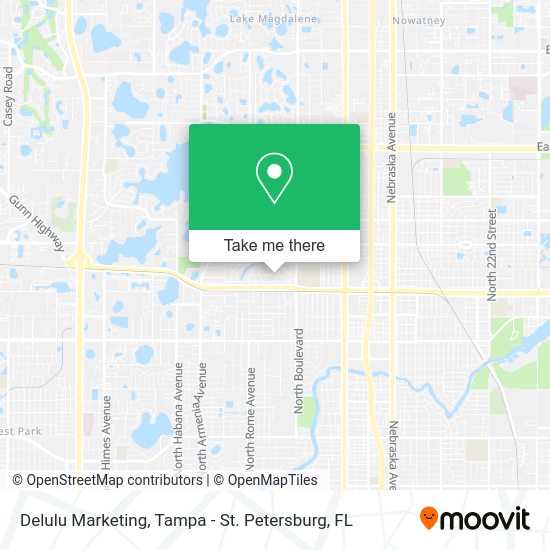 Mapa de Delulu Marketing