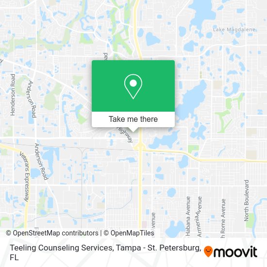 Mapa de Teeling Counseling Services