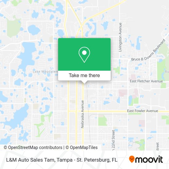 L&M Auto Sales Tam map