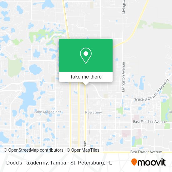 Dodd's Taxidermy map