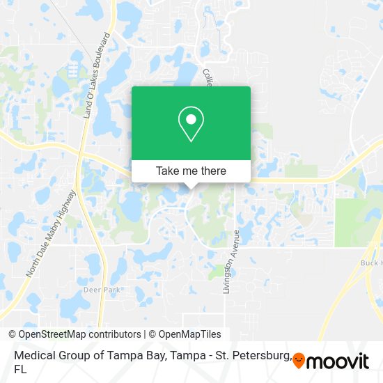 Medical Group of Tampa Bay map