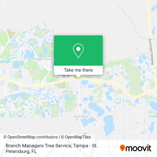 Branch Managers Tree Service map