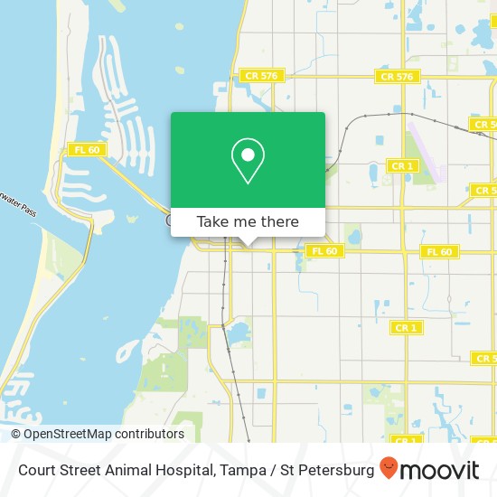 Court Street Animal Hospital map