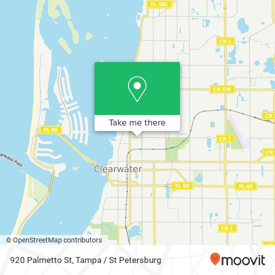 920 Palmetto St map