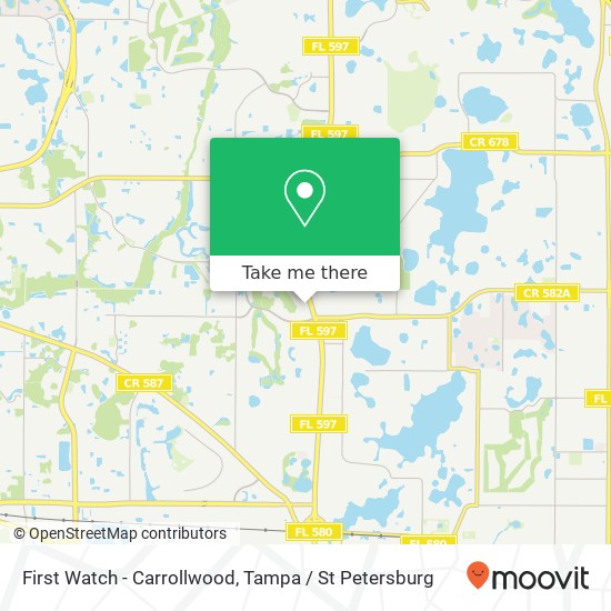 Mapa de First Watch - Carrollwood