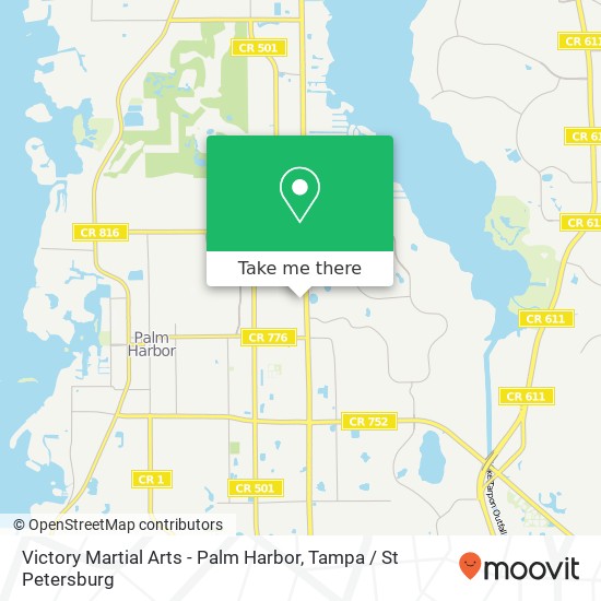 Mapa de Victory Martial Arts - Palm Harbor