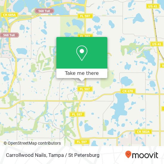 Carrollwood Nails map