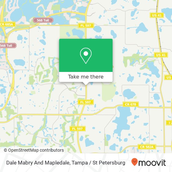 Dale Mabry And Mapledale map