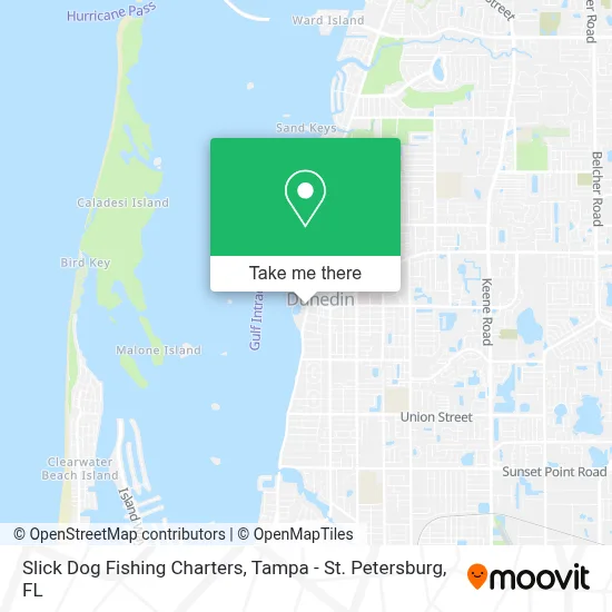 Slick Dog Fishing Charters map