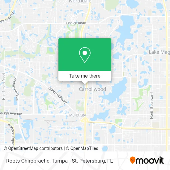 Roots Chiropractic map