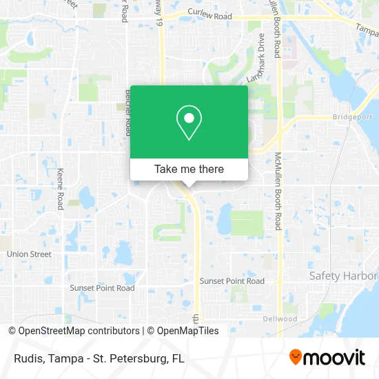 Rudis map