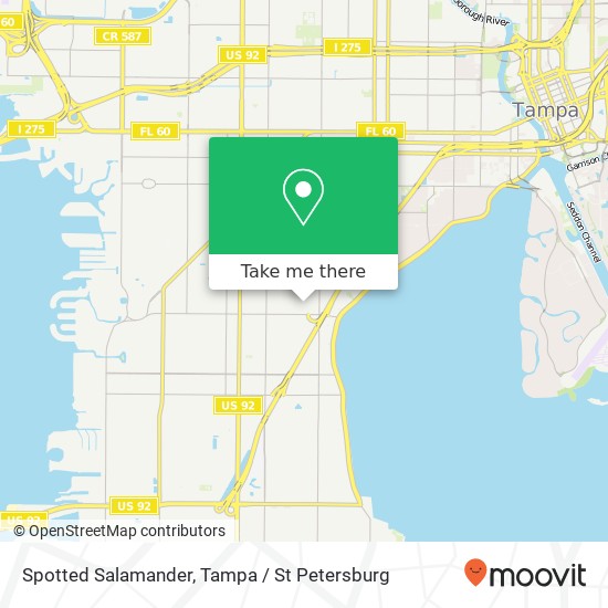 Mapa de Spotted Salamander, 3207 W Granada St Tampa, FL 33629