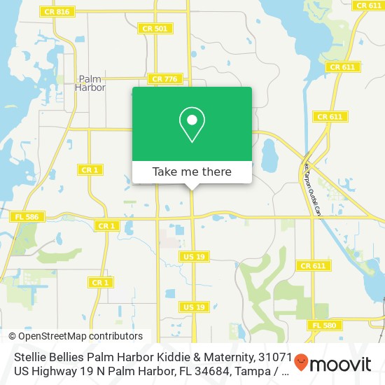 Stellie Bellies Palm Harbor Kiddie & Maternity, 31071 US Highway 19 N Palm Harbor, FL 34684 map