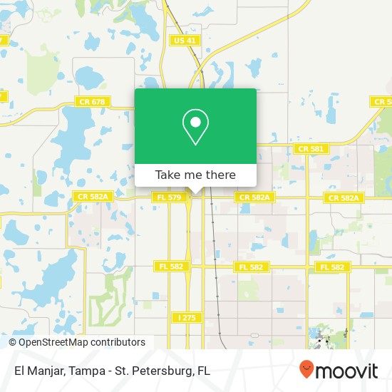 El Manjar, 802 E Fletcher Ave Tampa, FL 33612 map