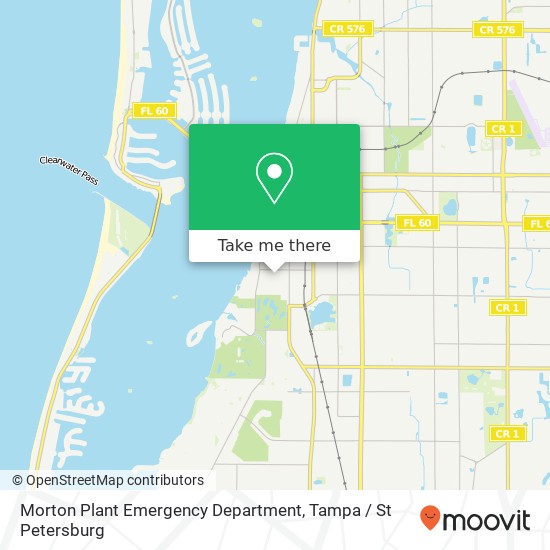 Mapa de Morton Plant Emergency Department