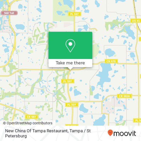New China Of Tampa Restaurant map