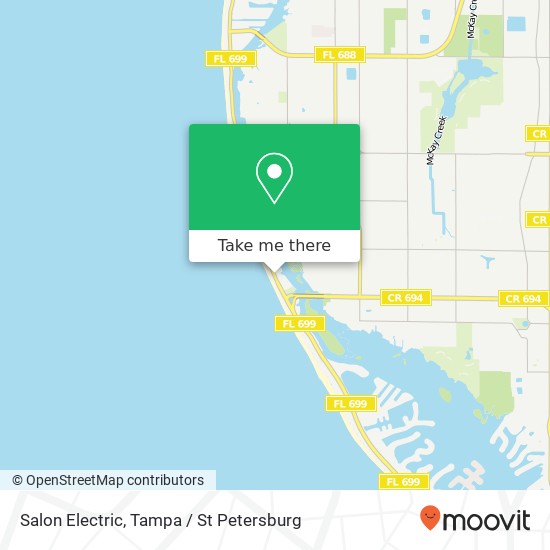 Salon Electric map