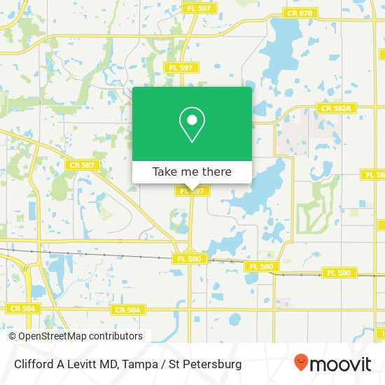 Clifford A Levitt MD map