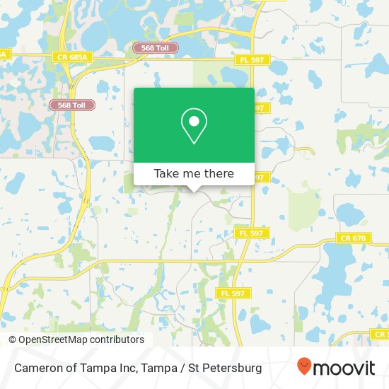 Cameron of Tampa Inc map