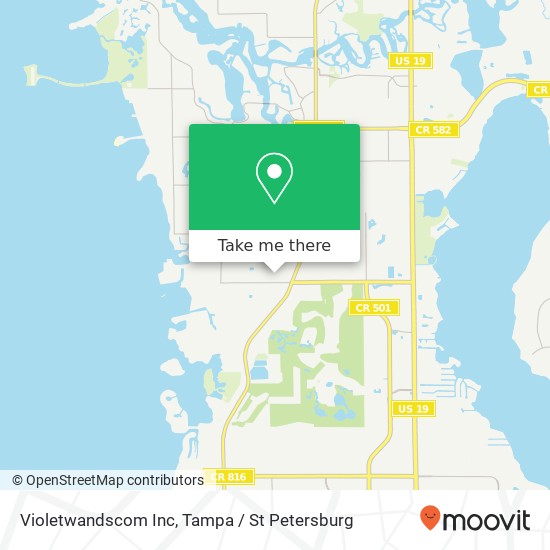 Violetwandscom Inc map