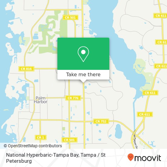 Mapa de National Hyperbaric-Tampa Bay