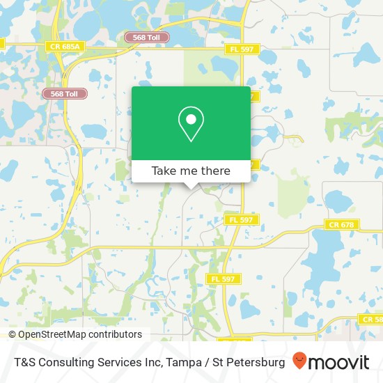 T&S Consulting Services Inc map