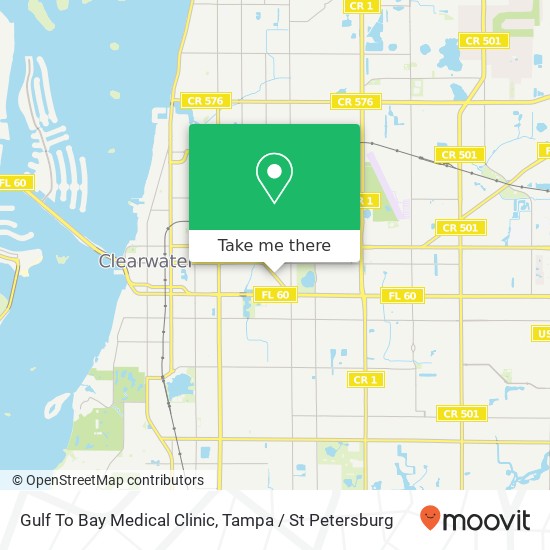 Gulf To Bay Medical Clinic map