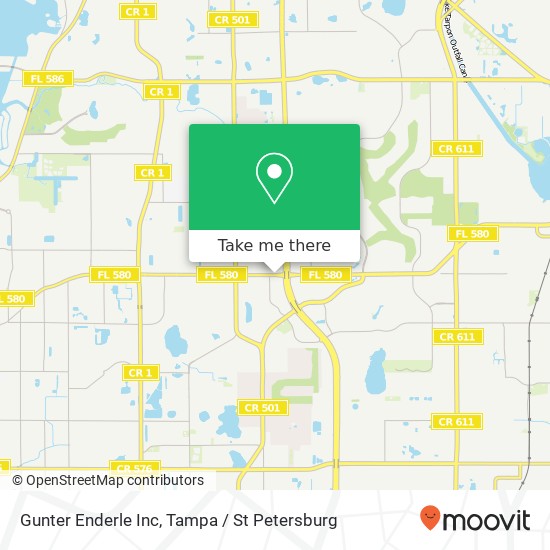 Gunter Enderle Inc map