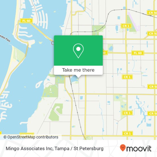 Mingo Associates Inc map