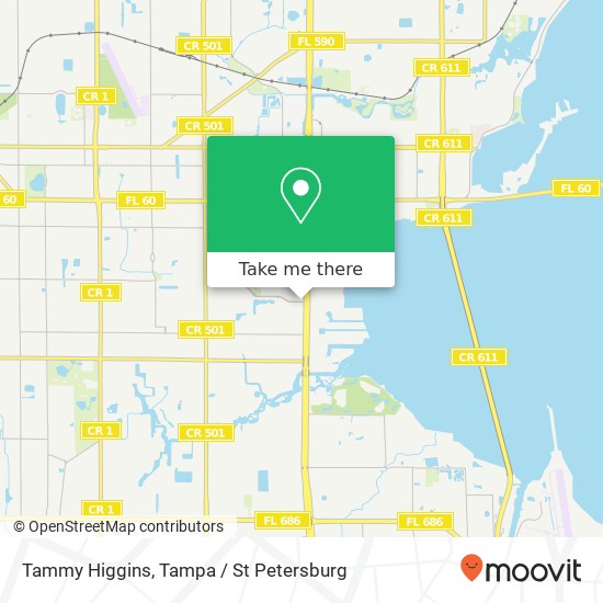 Tammy Higgins map