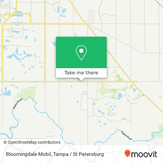 Mapa de Bloomingdale Mobil