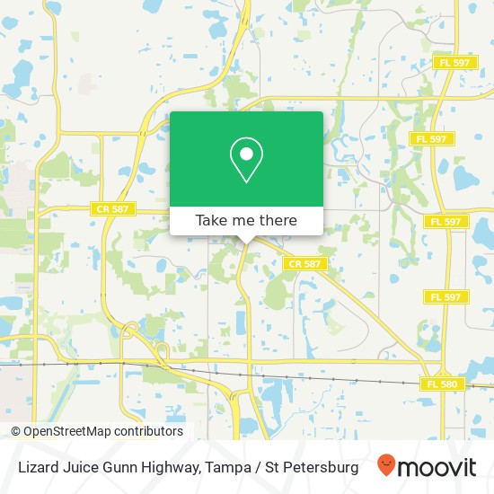 Lizard Juice Gunn Highway map