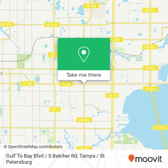Gulf To Bay Blvd / S Belcher Rd map