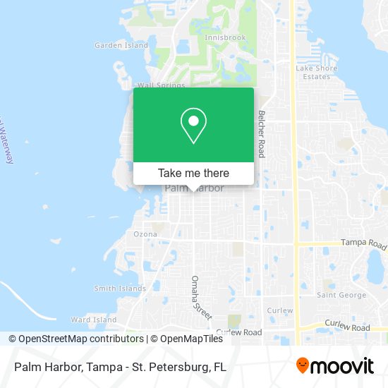Mapa de Palm Harbor
