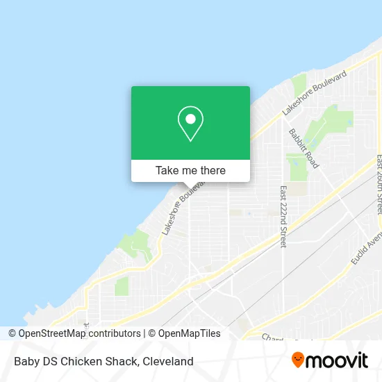 Baby DS Chicken Shack map