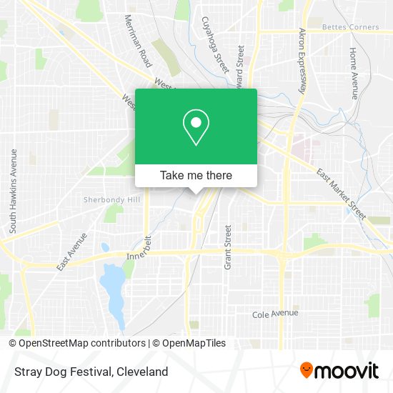 Stray Dog Festival map