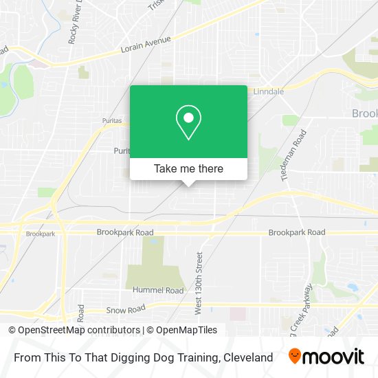 Mapa de From This To That Digging Dog Training