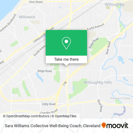 Sara Williams Collective Well-Being Coach map