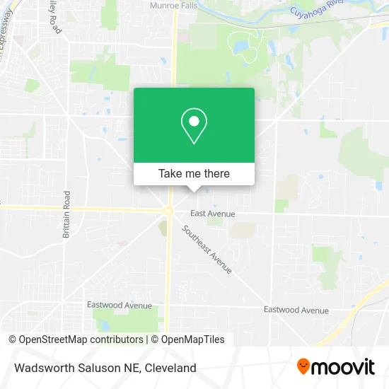 Wadsworth Saluson NE map