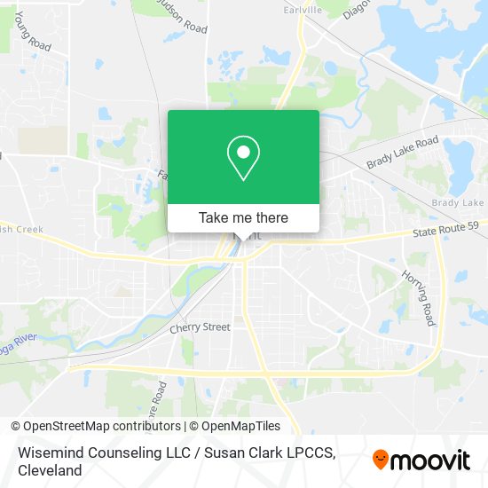 Wisemind Counseling LLC / Susan Clark LPCCS map