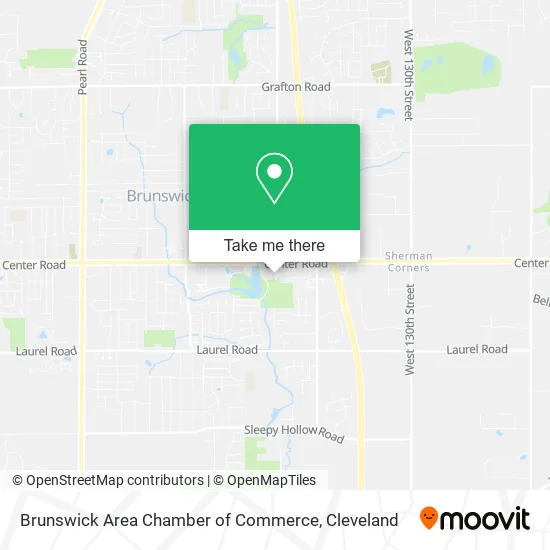 Brunswick Area Chamber of Commerce map