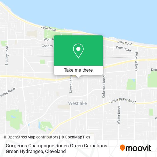 Gorgeous Champagne Roses Green Carnations Green Hydrangea map